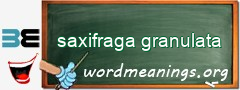 WordMeaning blackboard for saxifraga granulata